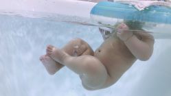 -香港3861婴幼儿游泳馆(东海商务中心店)