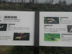 -桤木河湿地公园