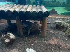 -昆明动物园