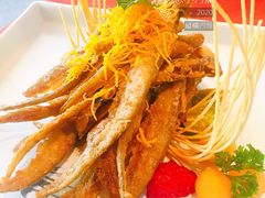 初恋小刀鱼-赵小姐丨新中餐(曲江店)