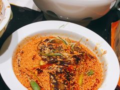 -三强鸽子(中原路店)
