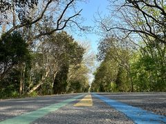-盐城丹顶鹤湿地生态旅游区