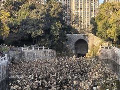 -水绘园