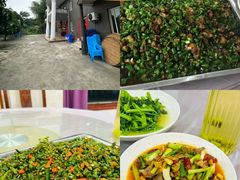 -金水泊山庄·花椒鸡(铁山坪店)