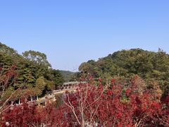-广州市帽峰山景区