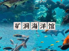-长鹿旅游休博园