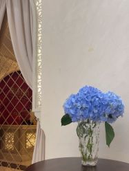 -尊尚柏丽美容SPA