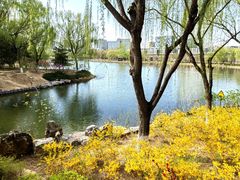 -大兴滨河森林公园