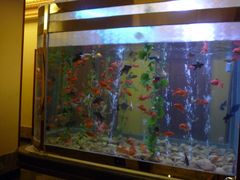 -肇庆奥威斯酒店