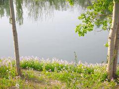 -将府公园