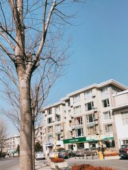 -宝善堂艾灸·小儿推拿(星海人家店)