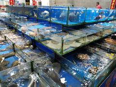 水产区-喜相逢海鲜美食城(五邑平价农副产品批发市场店)