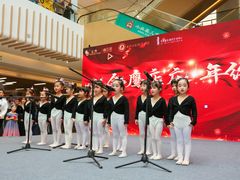 -西安小天鹅艺术团(曲江Alice店)