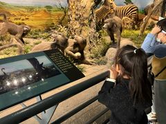 -国家自然博物馆