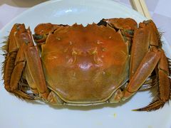 大闸蟹-宁波旅港同乡会(业丰大厦店)