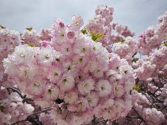 -石岛赤山风景区