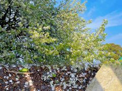 -东钱湖旅游度假区