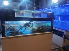 -日进一片海.生腌海鲜火锅.宵夜烧烤(三里屯总店)