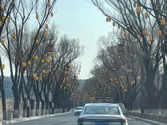 -老三羊汤【北兴隆街店】