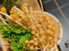 -蜀九香火锅(彩虹店)