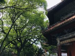 -南岳衡山风景名胜区-南岳大庙