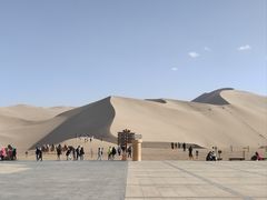 -靖远尕六美味羊羔肉