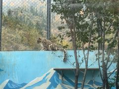 -青藏高原野生动物园