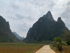 -明仕田园
