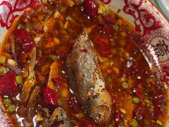 -欧记大排档·景德菜(上海首店)