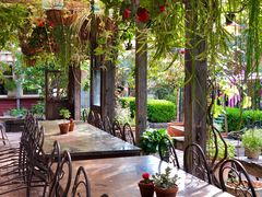 -The Grounds of Alexandria