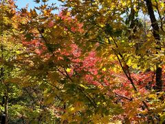 -丹东天桥沟景区