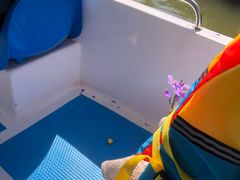 -苏州太湖西山岛开心农场