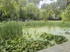 -莲湖公园