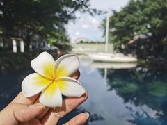 -喜洲吧·江畔老船厂·庭院餐厅(喜临院店)