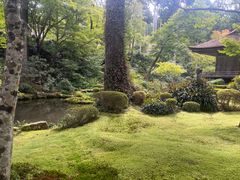 -三千院