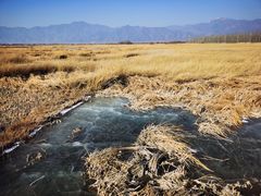 -野鸭湖国家湿地公园