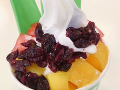 -Salud撒露欧洲冻酸奶(798艺术区店)