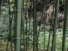 -常德桃花源景区