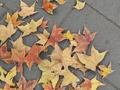 -黄记煌三汁焖锅(崇文门店)