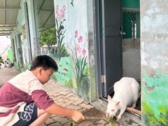 -西霞口神雕山野生动物世界