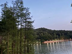 -云溪植物园
