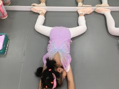 -西安小天鹅艺术团(金花路校区)