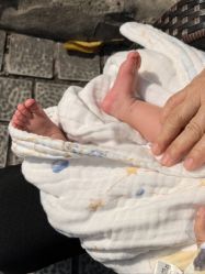 -莲生母婴月子中心(清水河公园店)