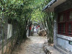 -老张烤羊(王哥庄店)
