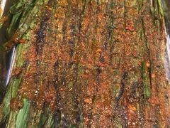 -伊隆斋(什刹海店)