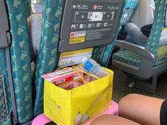 -文府路口(Taiwan High Speed Rail Zuoying Station)