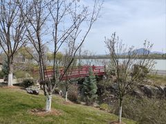 -羊山湖公园