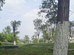 -府河摄影公园