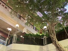 -广州酒家(文昌总店)