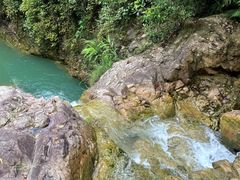 -南海湾森林生态园